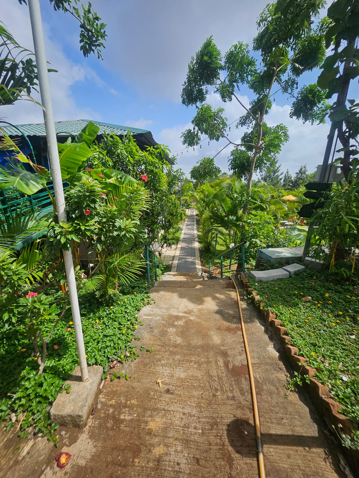 The Casa Green gallery photo