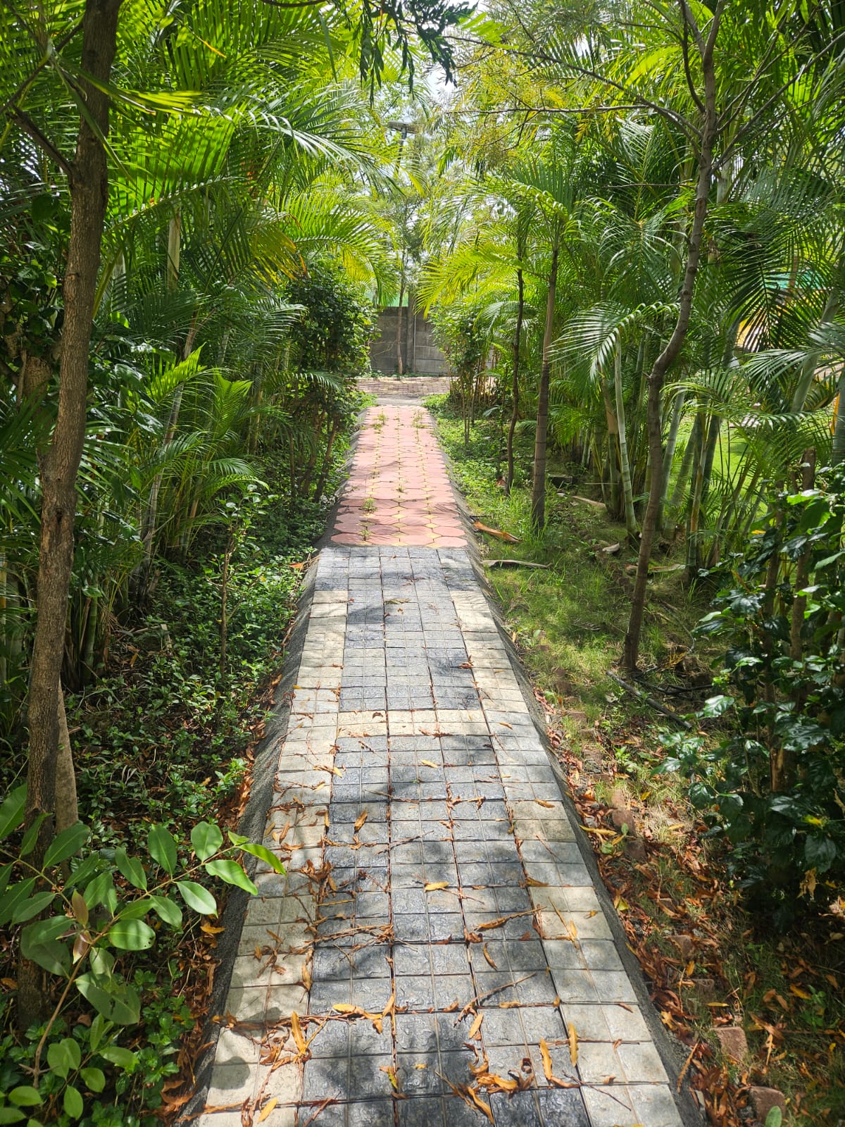 The Casa Green gallery photo